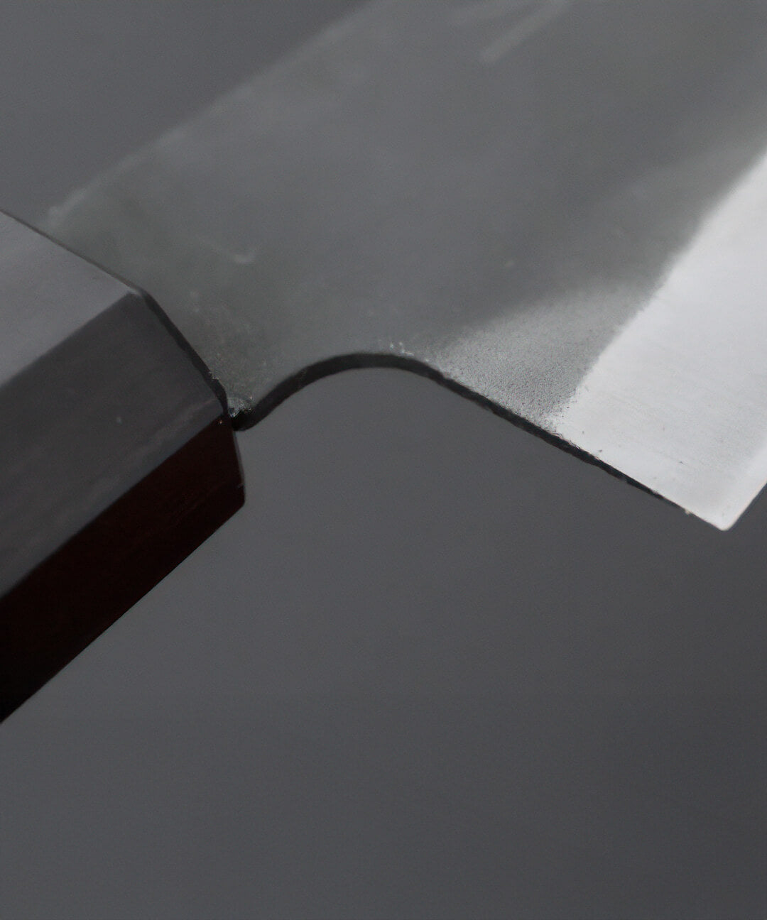 Cuchillo Gyuto 21 cm Hitohira Hizen Aogami #1 4