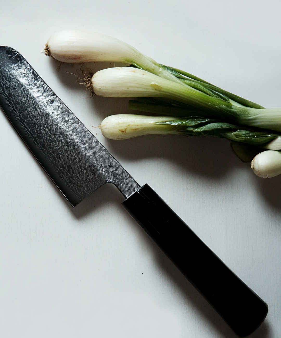 Detalle de la colaboración Ryo Miura Japan con el chef Fidel Díez