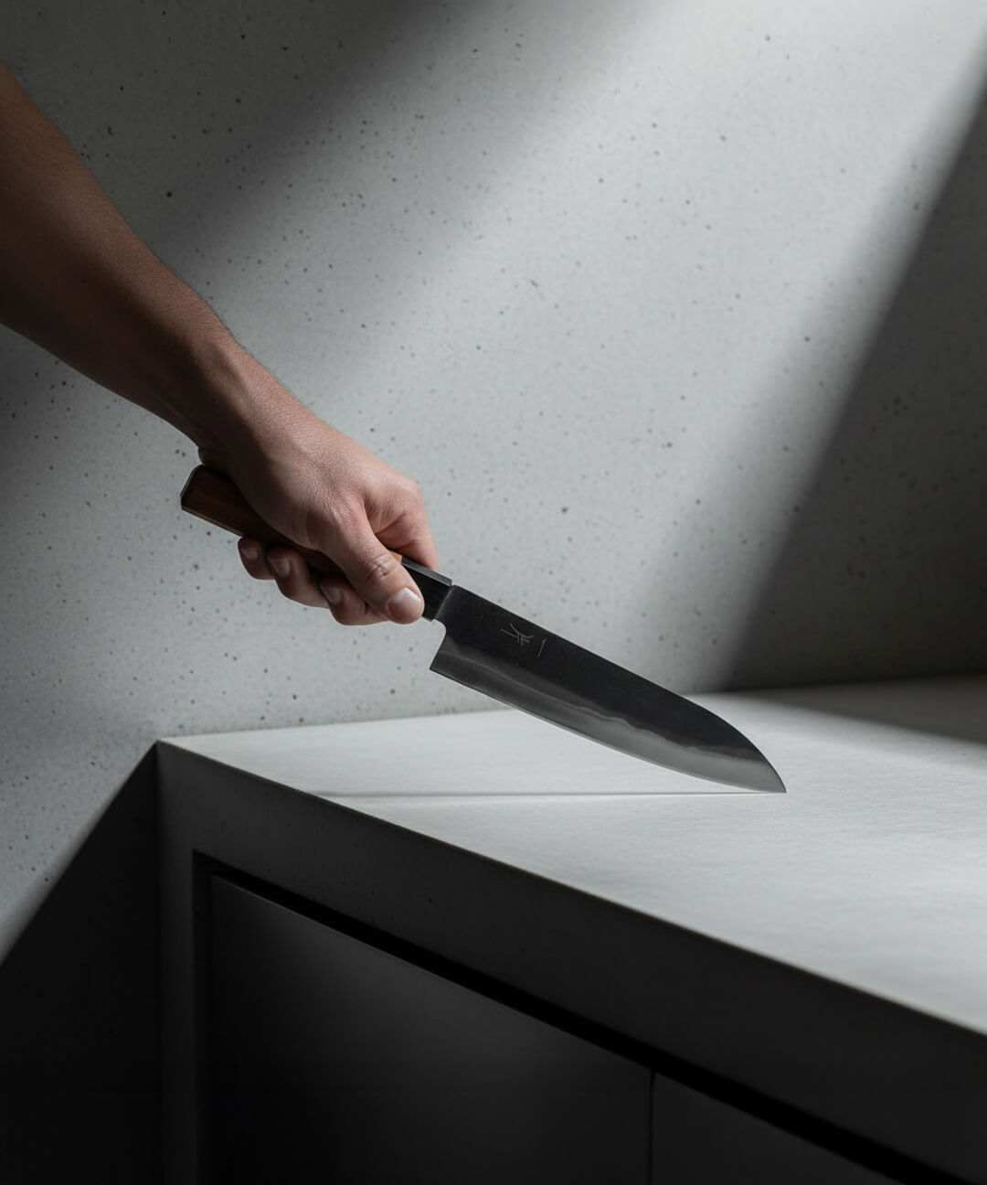 Cuchillo Gyuto 21 cm Hitohira Hizen Aogami #1 vista alternativa