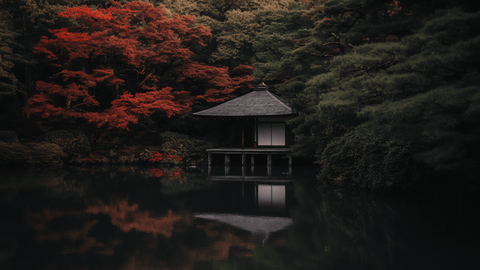 — LETTERS TO KYOTO